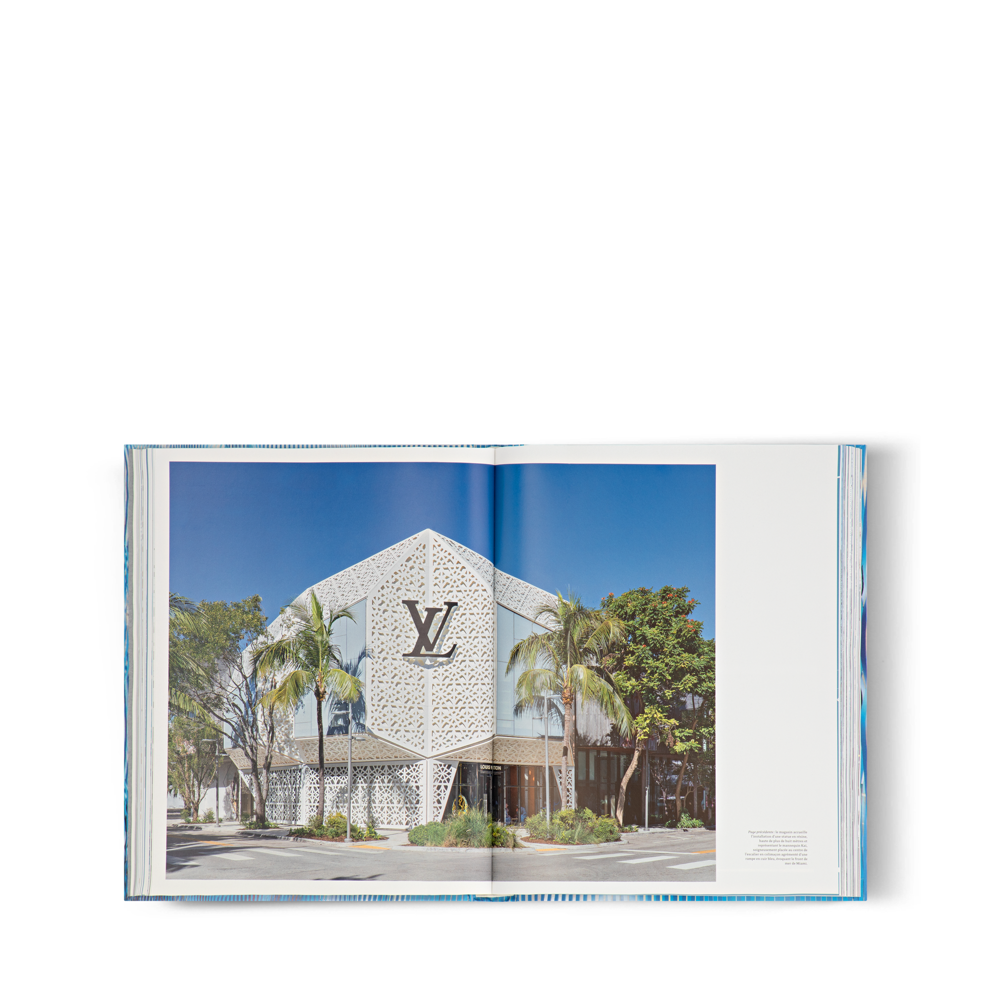 Louis Vuitton Skin: Architecture Of Luxury  Trunks, Reisen und Wohnen Bücher und Schreibaccessoires Bücher | LOUIS VUITTON (Zoom)
